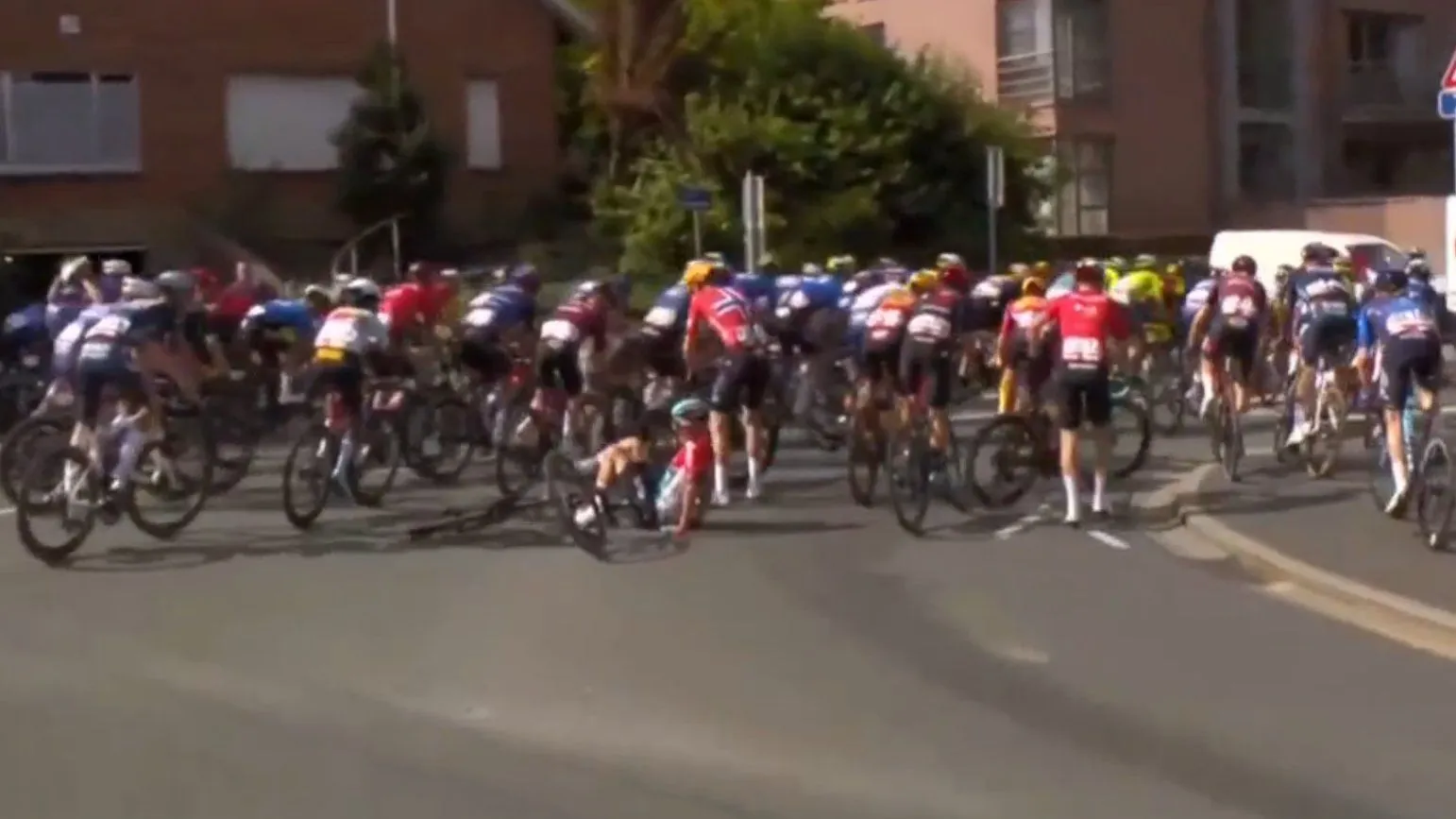 peloton wallonie