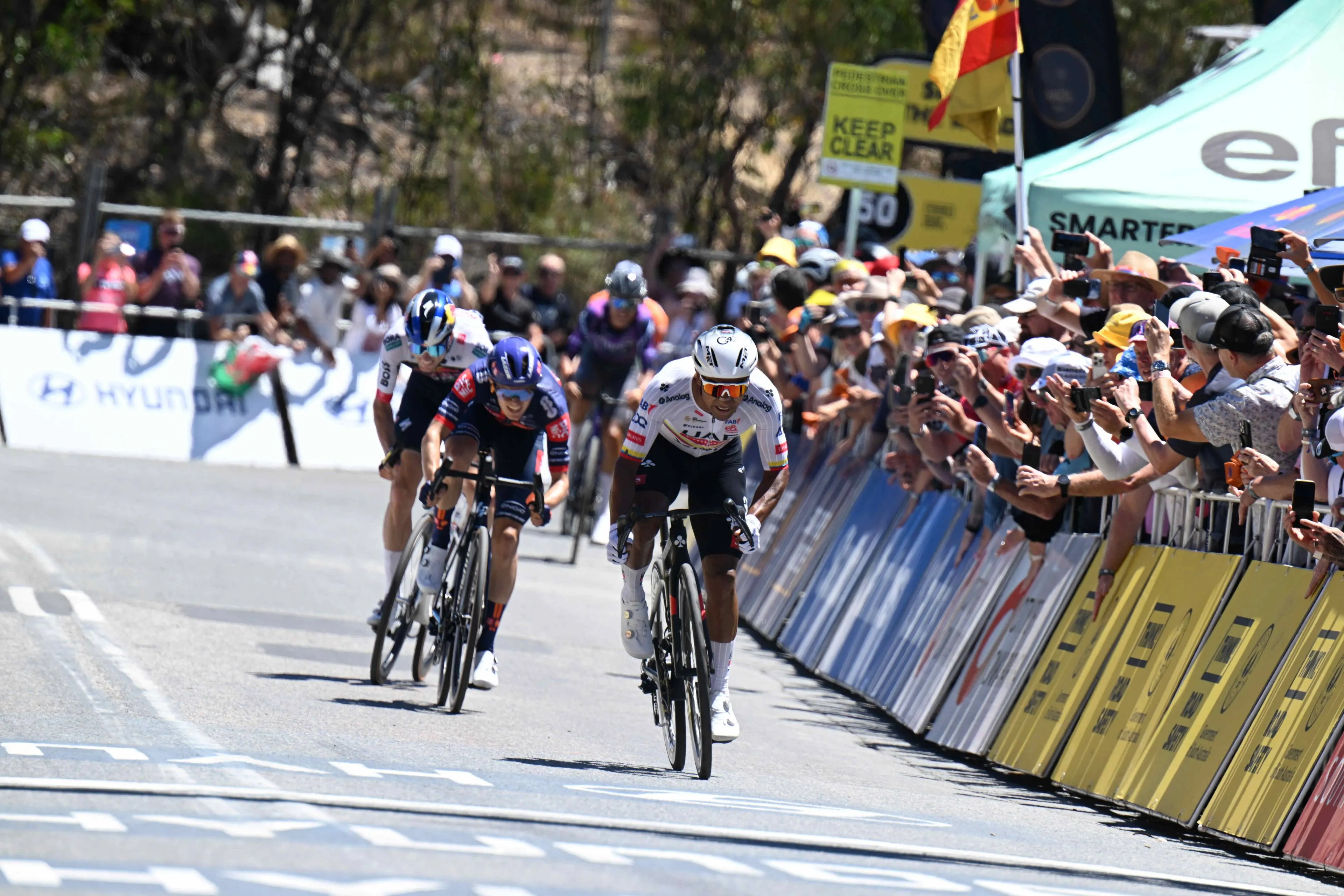 Volgens UAE Team Emirates-XRG is krachtsexplosie Narváez in Australië pas het begin: 'Een supertalent'