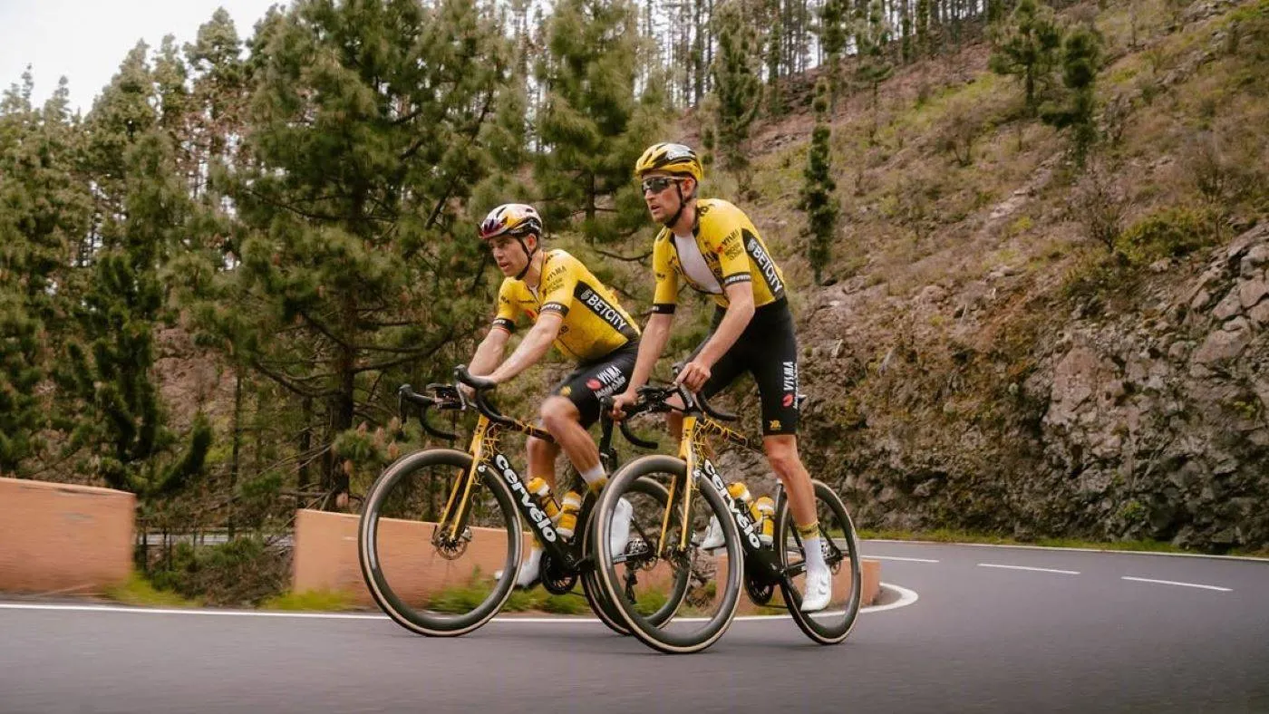 Geen Strade, Tirreno of Parijs-Nice voor Van Aert en Benoot, hoogtestage heeft prioriteit: 'Kiezen is verliezen'