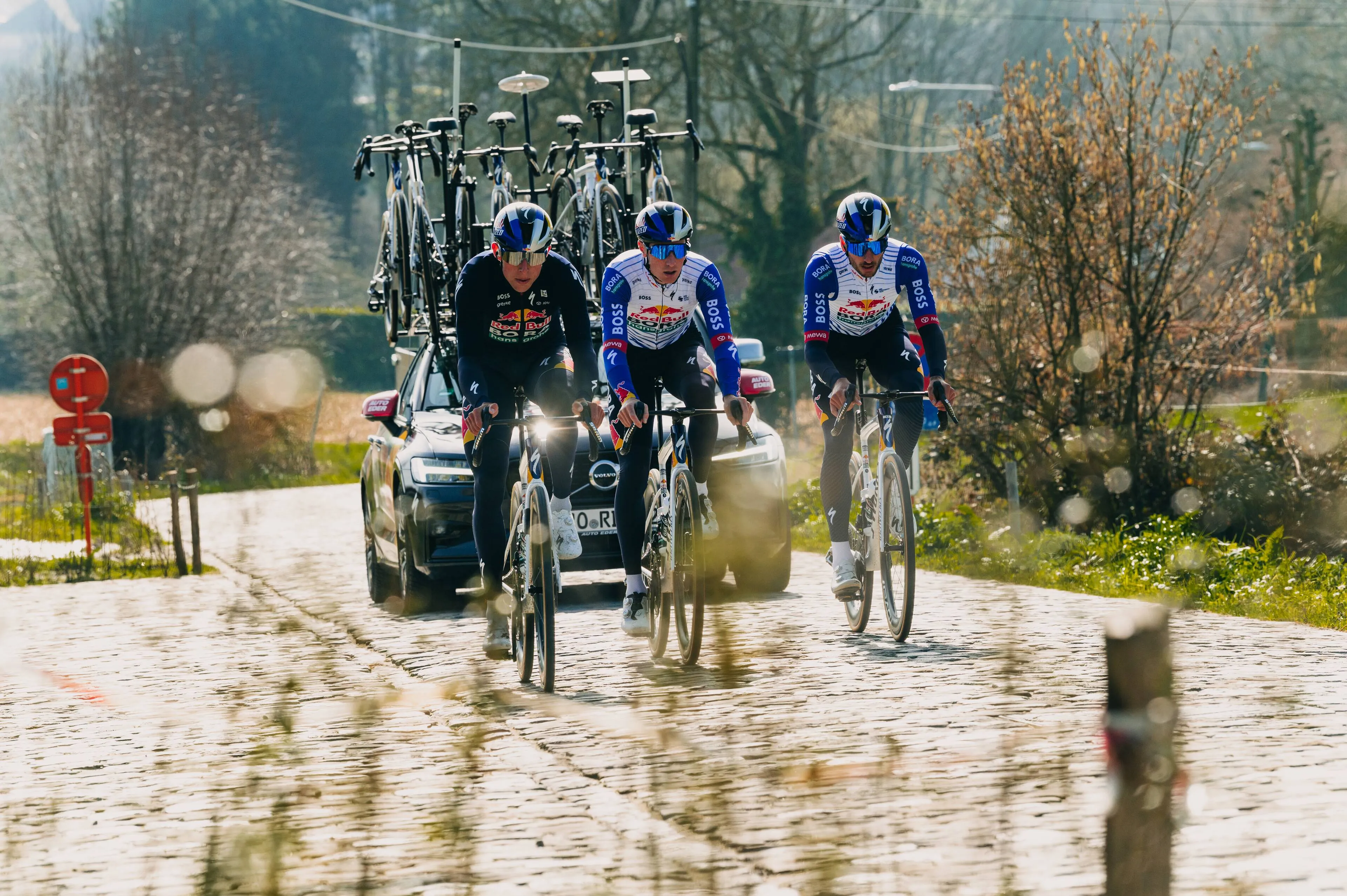 tim-van-dijke-laurence-pithie