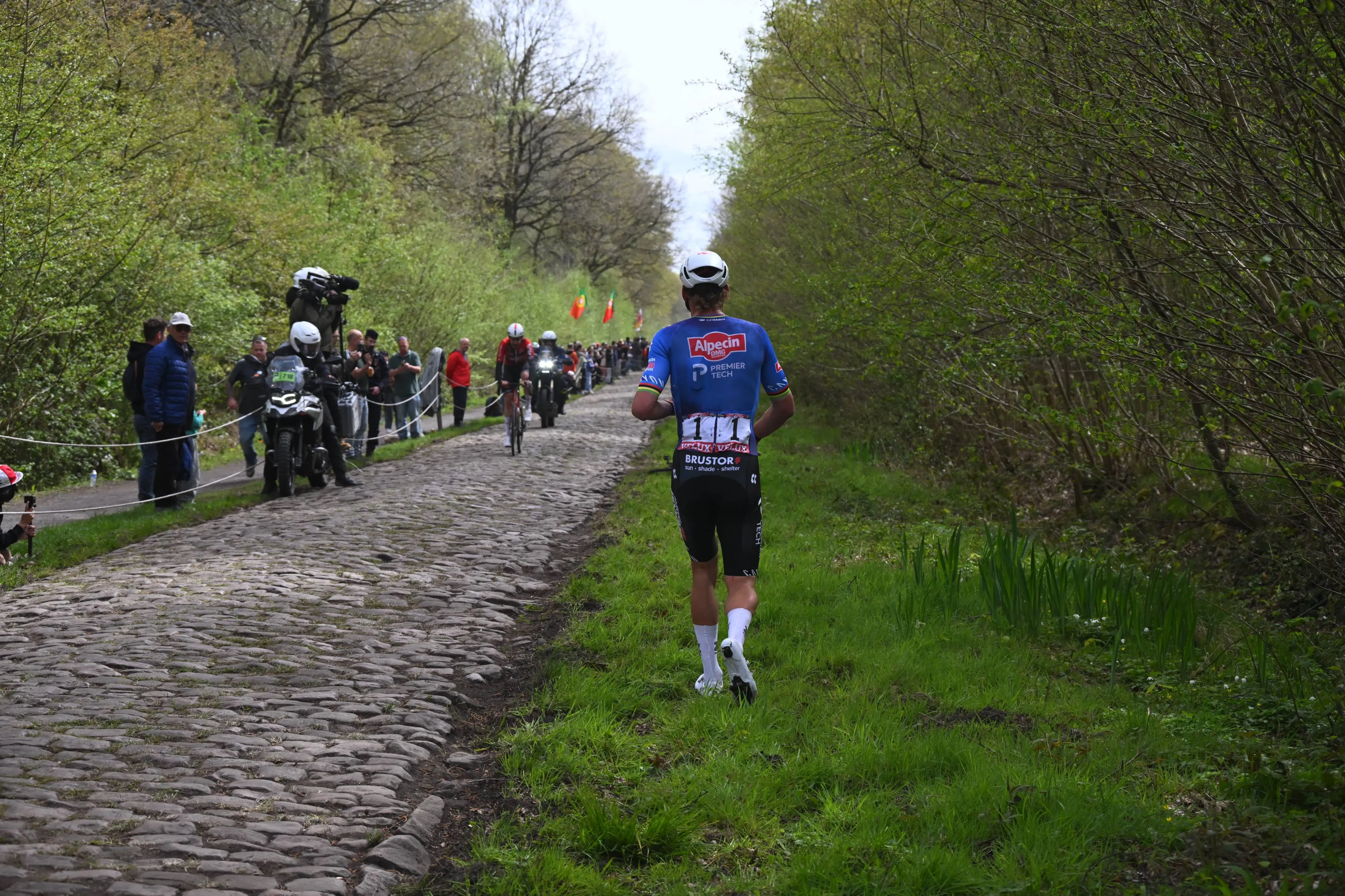 The Forest of chaos: punctures, crashes and broken bikes — everything you didn't see on the Arenberg