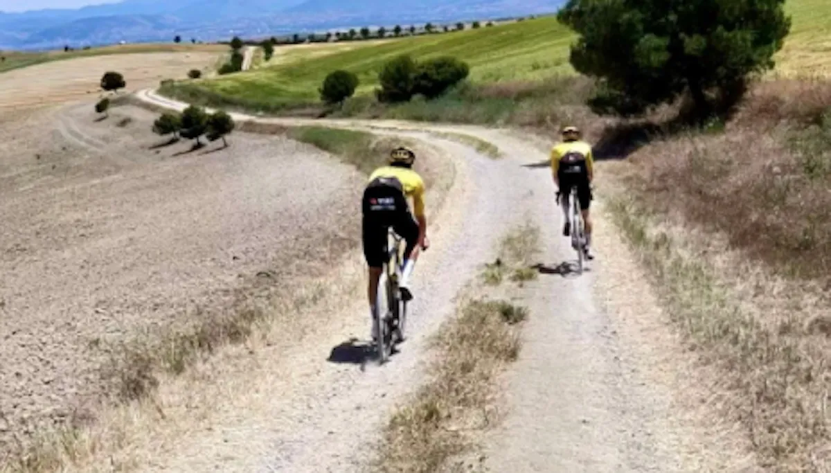 van-aert