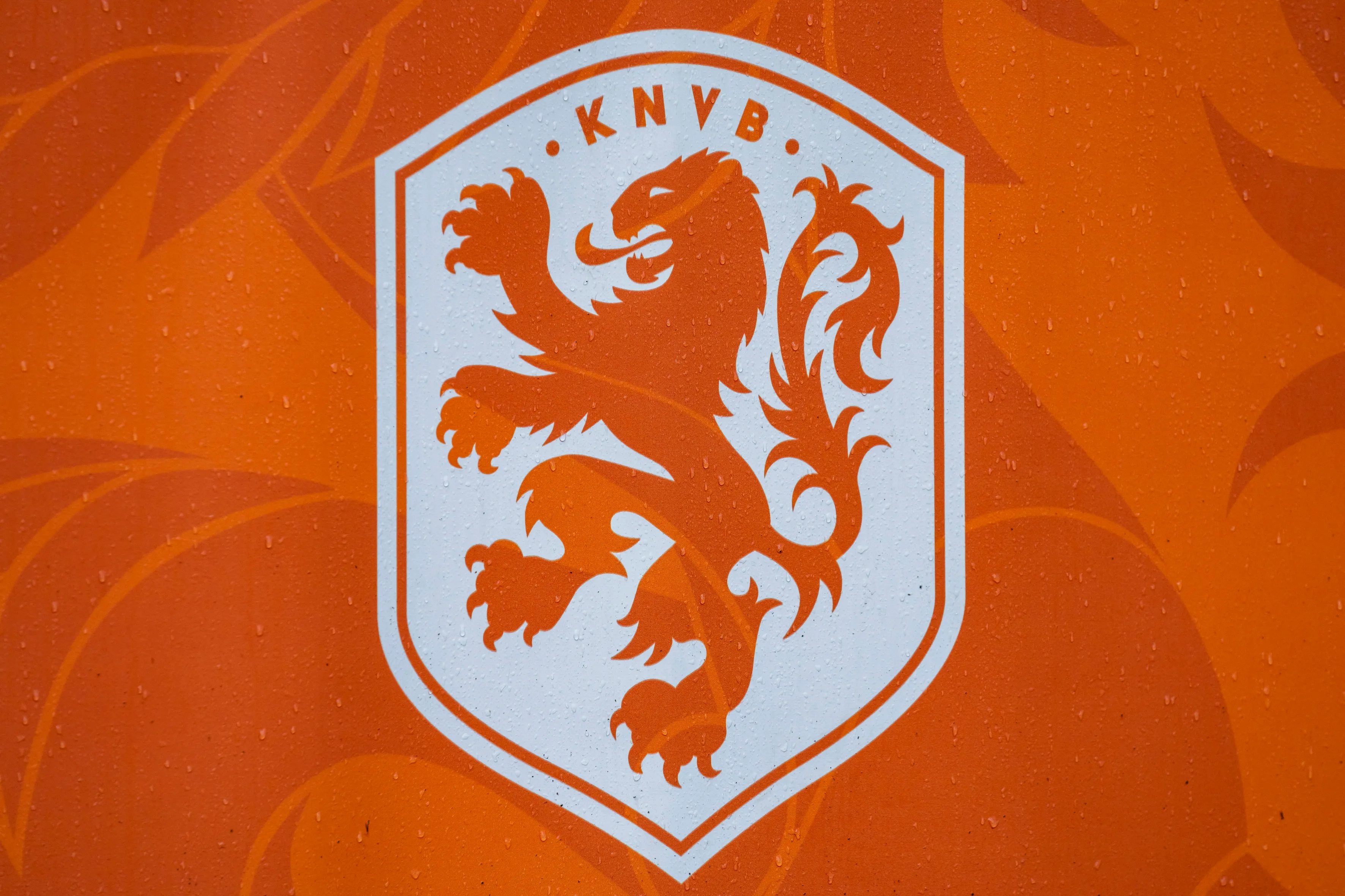 knvb logo nederlands elftal