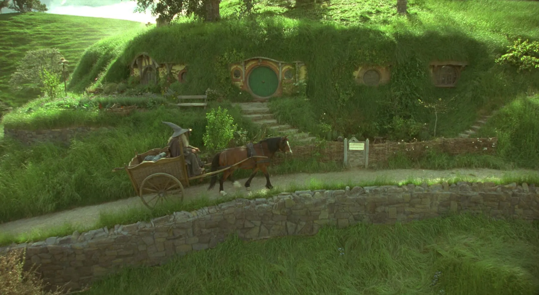 the lord of the rings fellowship of the rings the shire