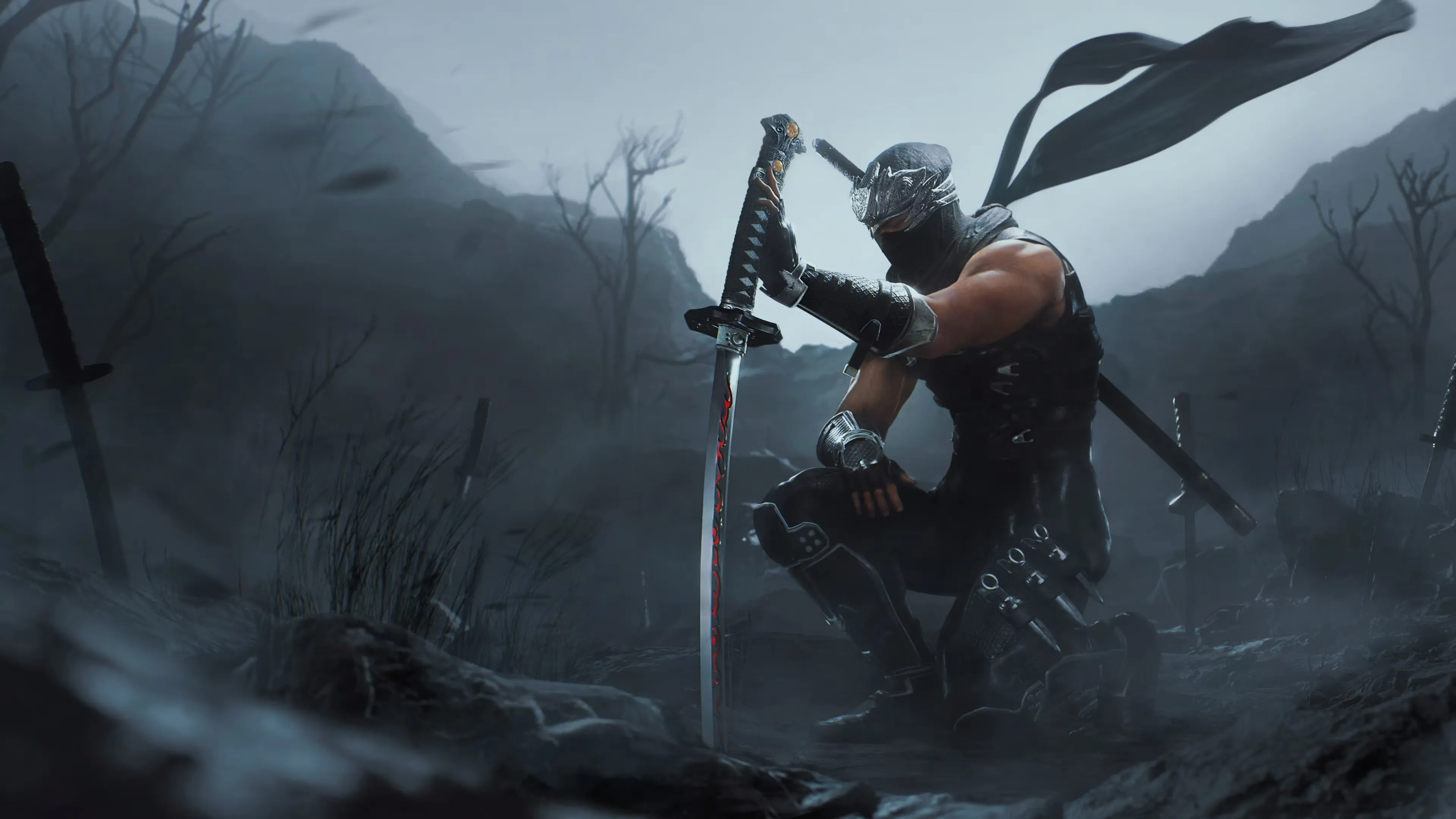 ninja gaiden 2 black 1