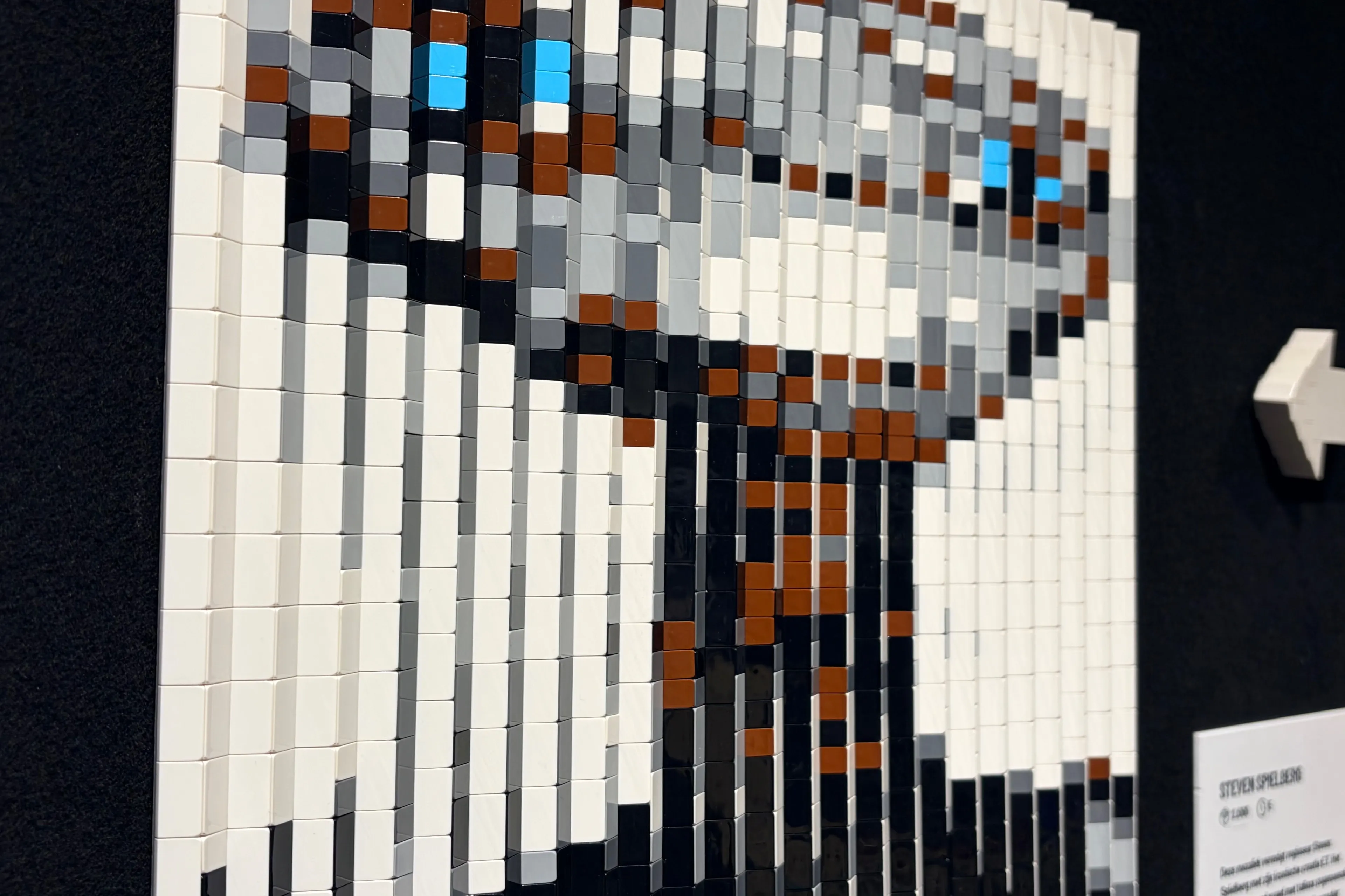 Bewonder LEGO kunstwerk tot in de kleinste details bij Bricks of Wonder