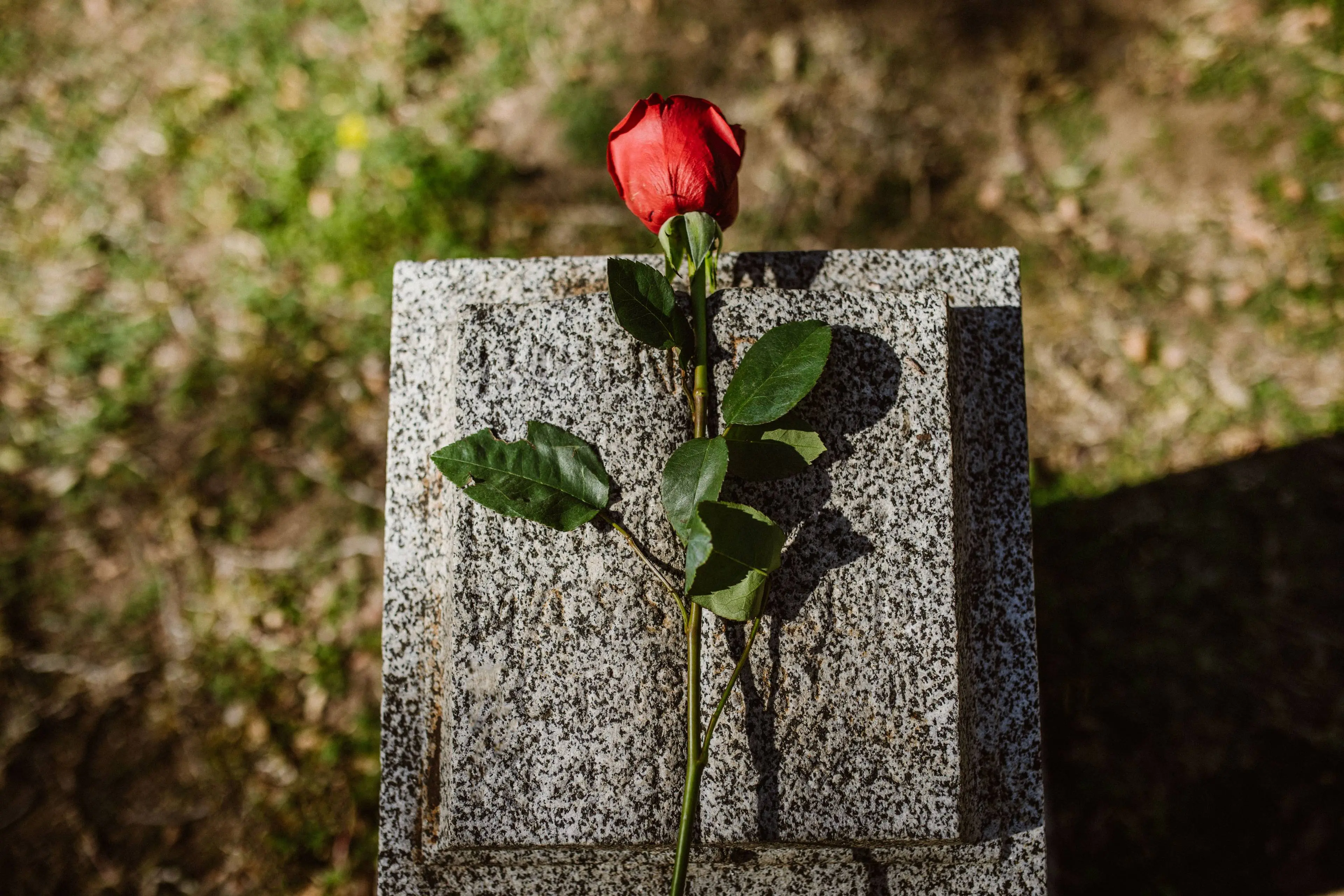 pexels-rdne-6841362