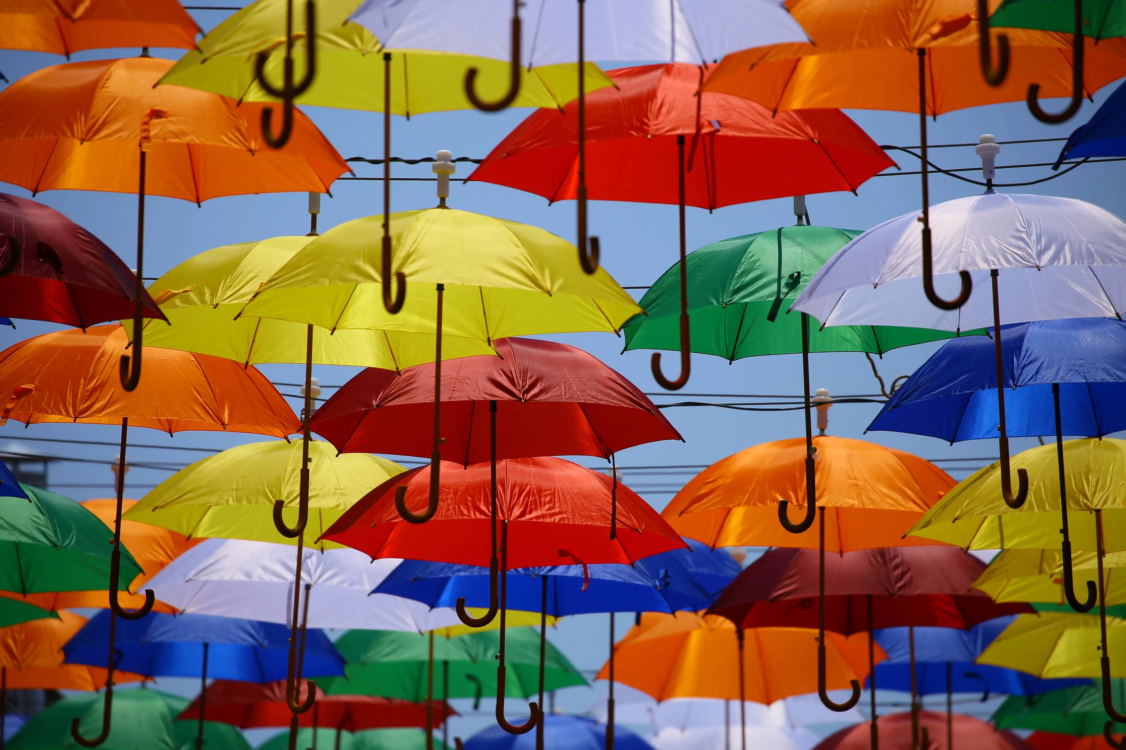 flower wind umbrella colourful color colorful art umbrellas hd wallpaper fashion accessory public domain images 915773