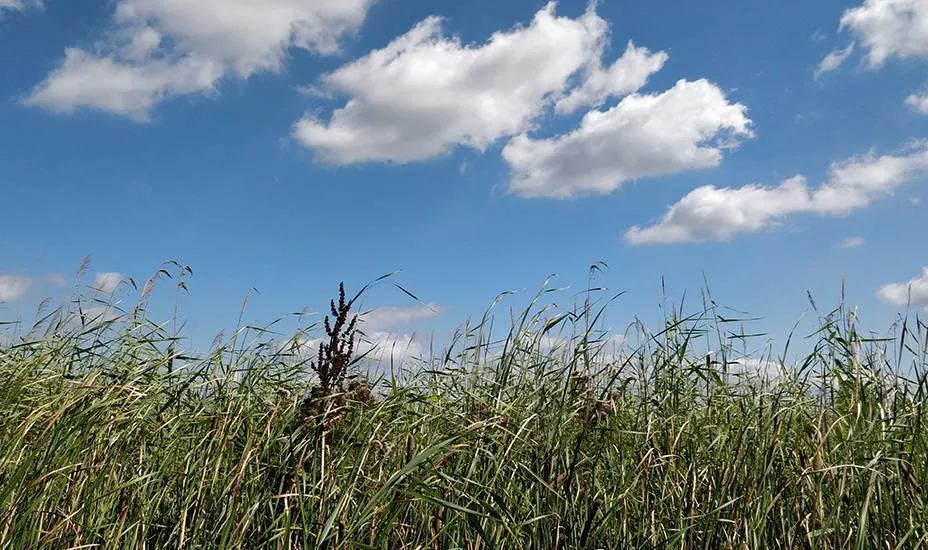 Schonere lucht in 2024 in IJmond, Haarlemmermeer en Havengebied Amsterdam