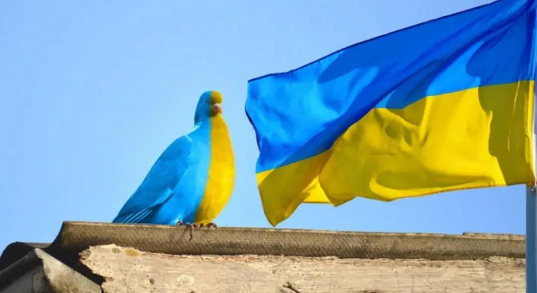 screenshot-20220423-090342