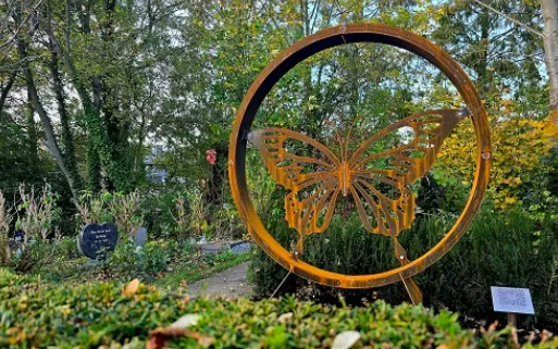 Screenshot_20251101_144655