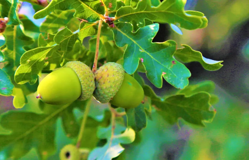 Screenshot_20251103_151346