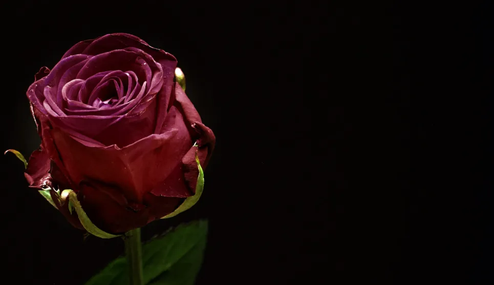 Screenshot_20251109_111229