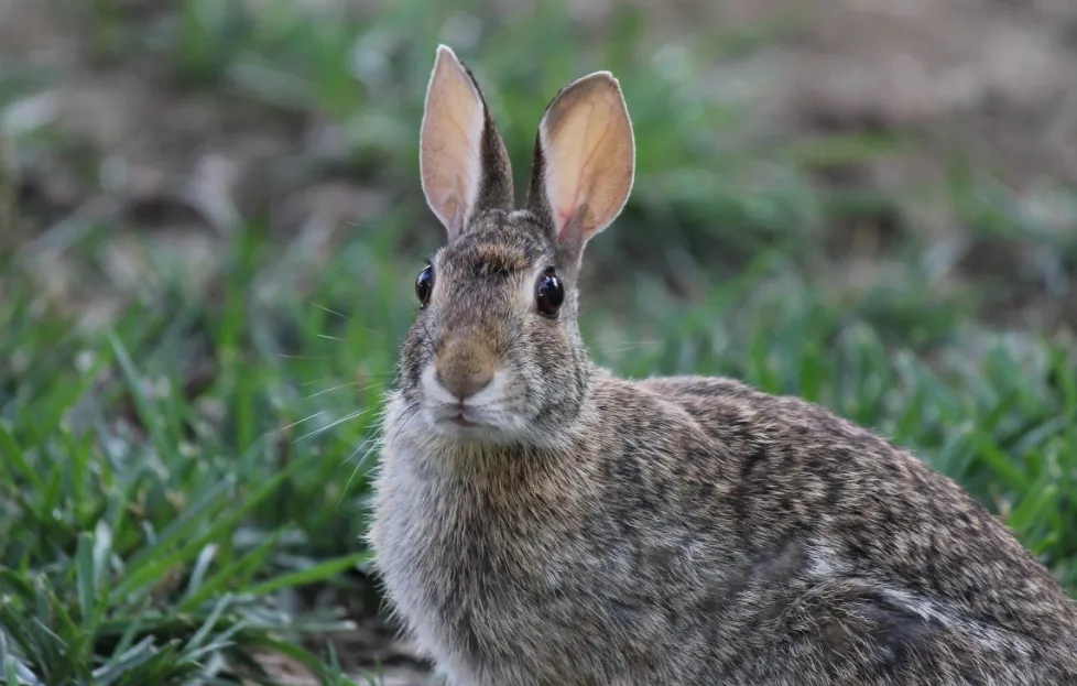 Screenshot_20251110_102536