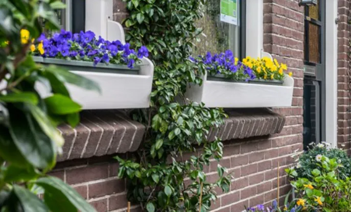 Screenshot_20251117_093250