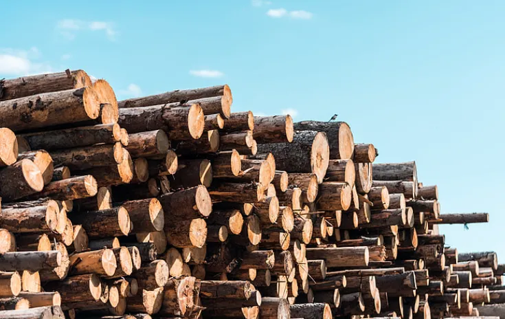 Screenshot_20251117_124738