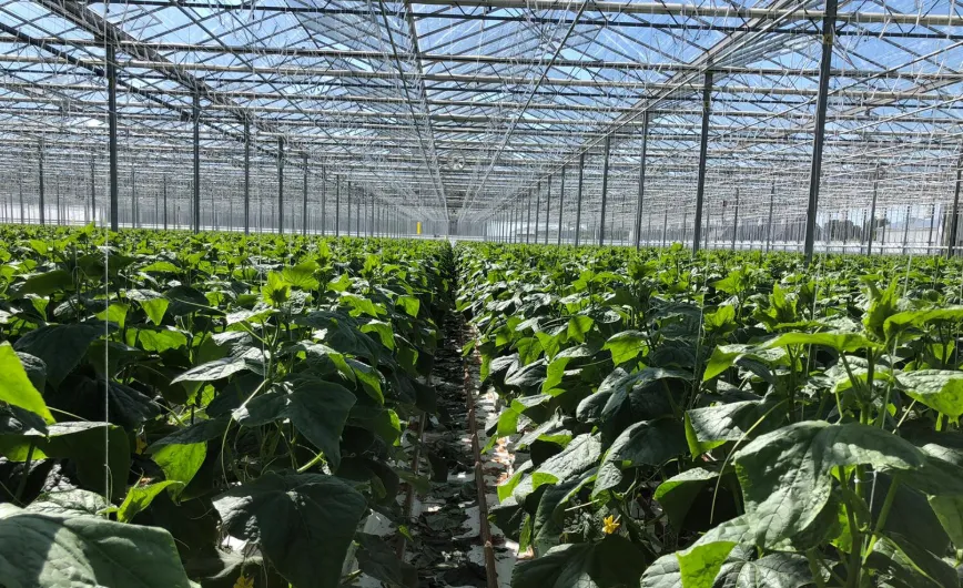 Screenshot_20251201_123228