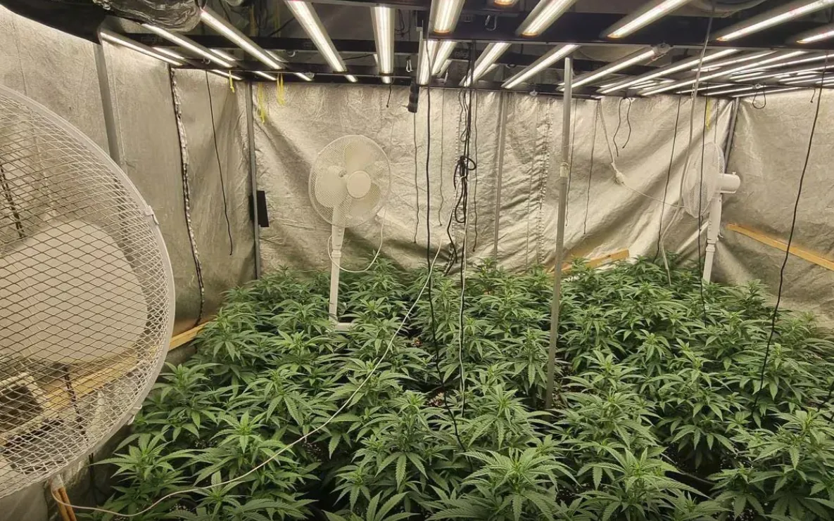 Screenshot_20251229_101735