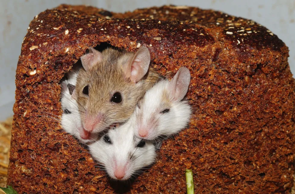 Screenshot_20260103_145528