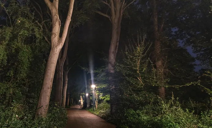 Screenshot_20260108_110839