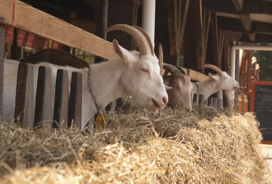 Screenshot_20260108_134049