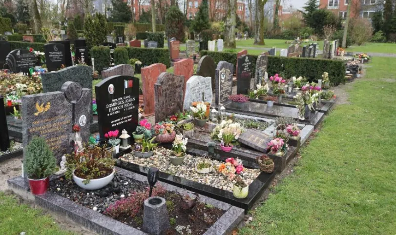 Screenshot_20260110_122416