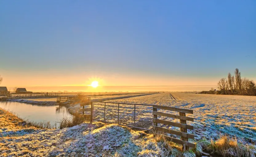 Screenshot_20260111_155836