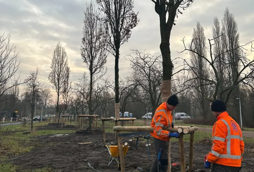 Screenshot_20260211_131833