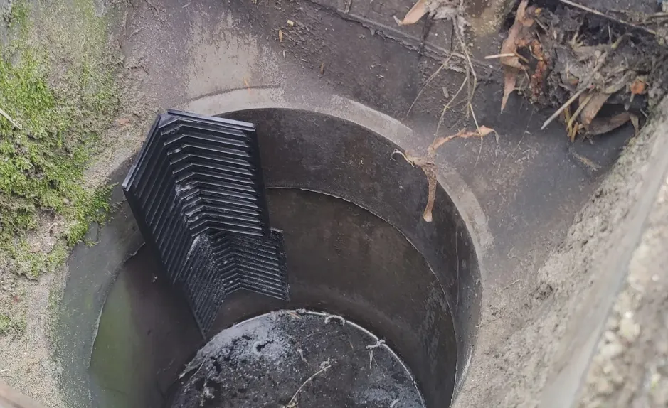 Screenshot_20260223_111733