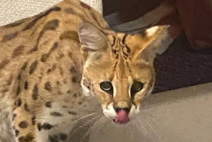 Screenshot_20260228_101438