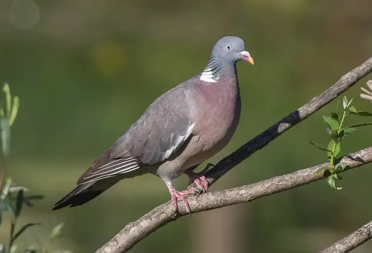 Screenshot_20260305_104809