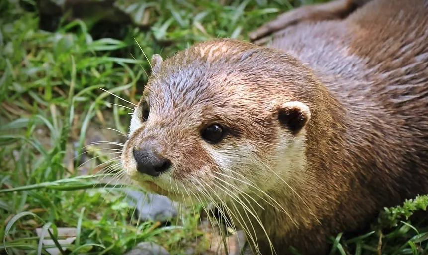 Screenshot_20260309_101920