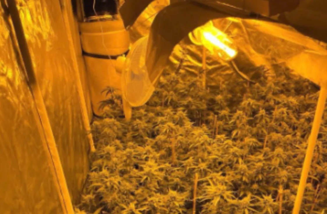 Screenshot_20260324_161610