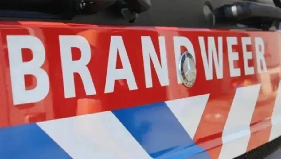 screenshot-20220803-121019-915x518-1-915x518-1-6731f70a93a17jpg-67d430cb5b60e-1jpg-681f9bff22da9-68ef5f8608a19-69492498f38fd-6999713c08cce