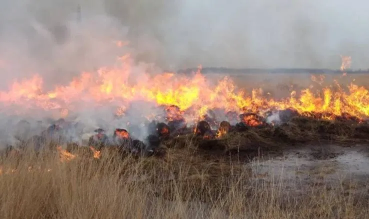 screenshot-20240801-144308-66ab82be85c25