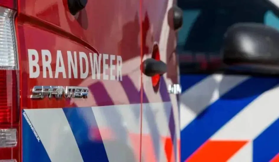 screenshot-20250527-130413-68359bb69748a-6897205359ecb-69579f84f1d06 (1)