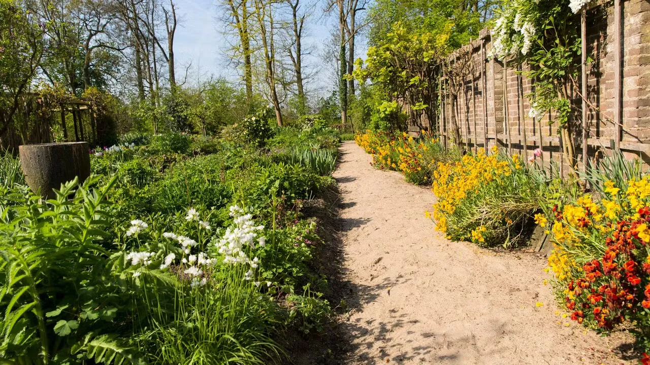 Ontdek De Oude Moestuin in Brakel tijdens open dagen