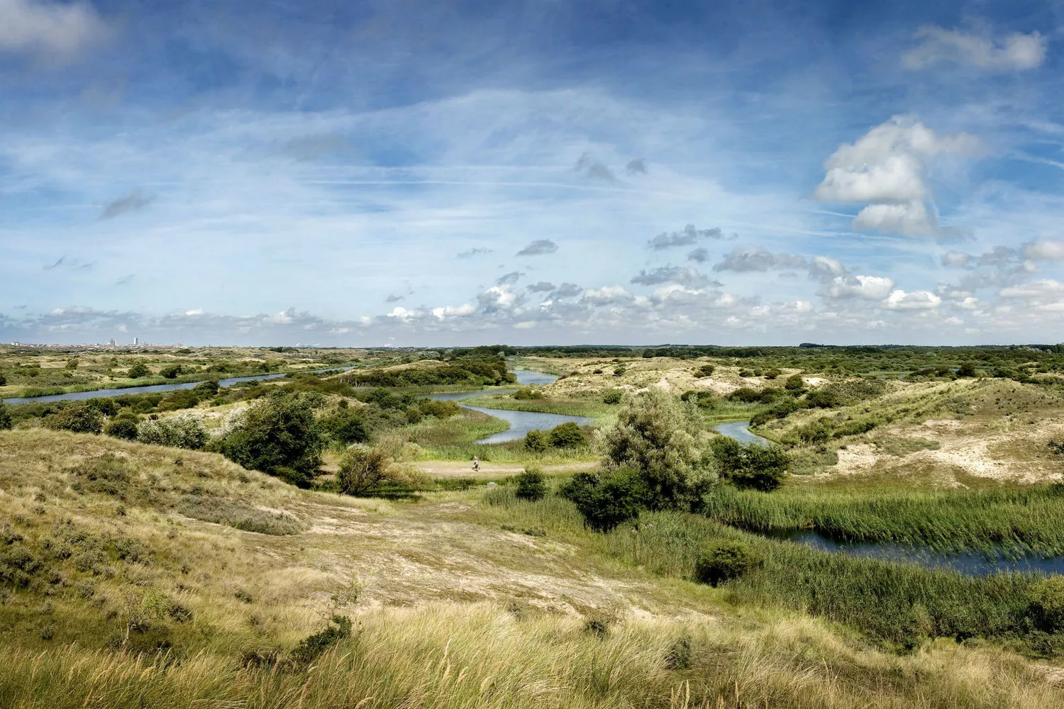 amsterdamse waterleidingduinen overview 4