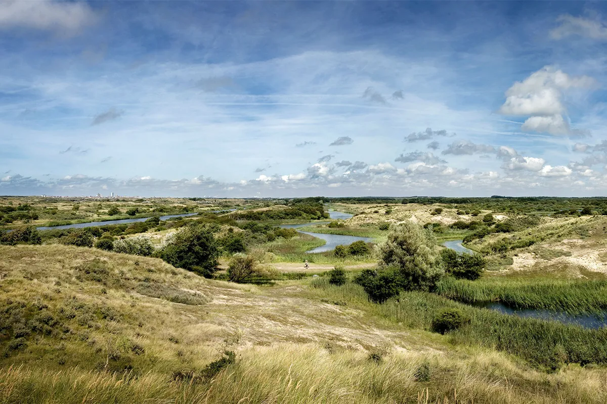 amsterdamse waterleidingduinen overview