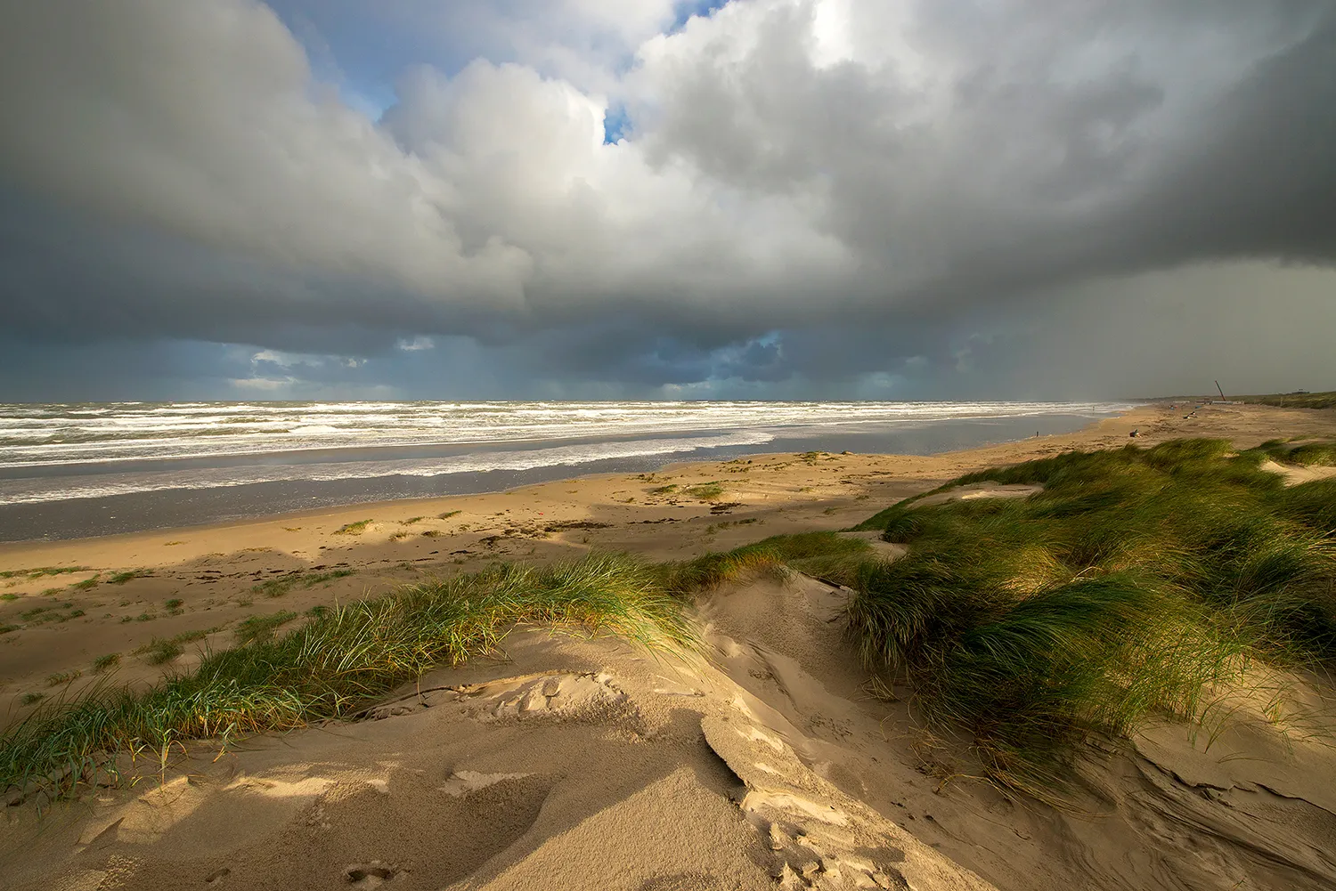 duinen door ronald van wijk