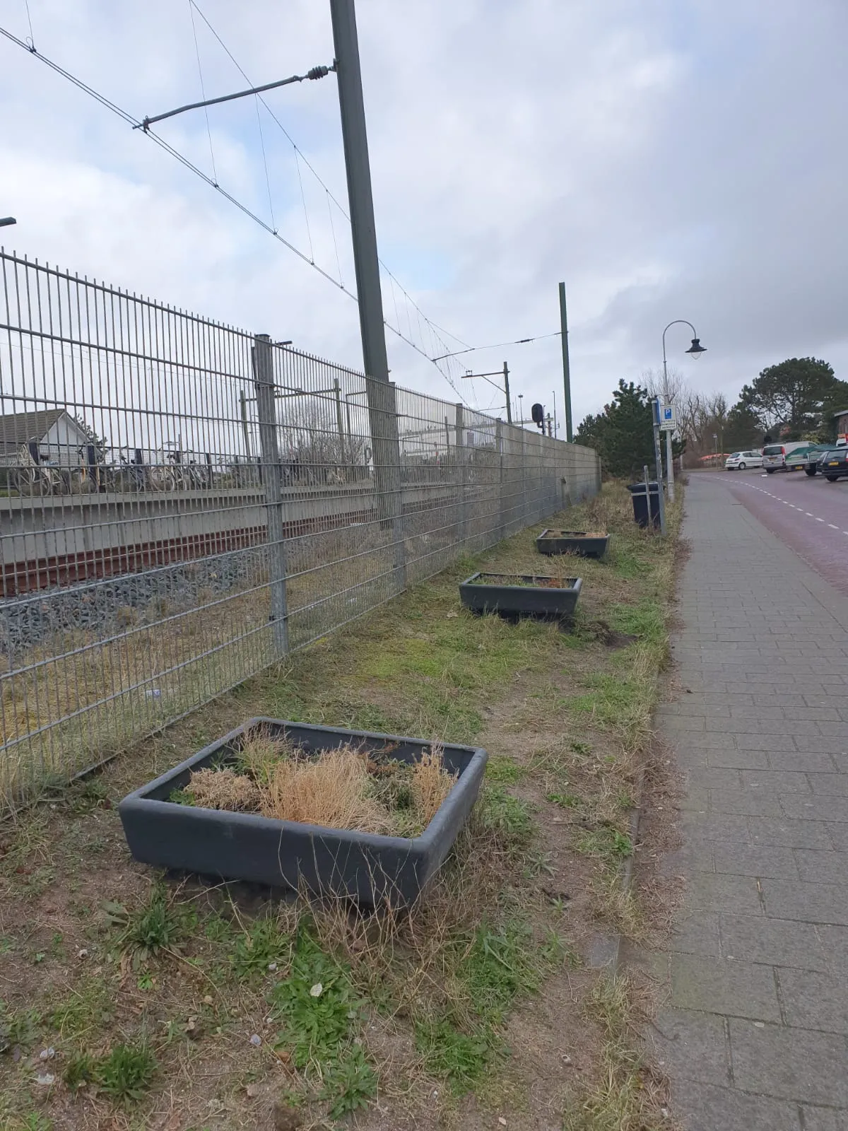 groenstrook haltestraat groen links zandvoort en bentveld aangeleverd 4