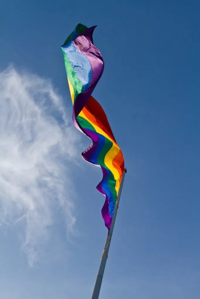 regeboogvlag rainbow 828920 960 720 groot pixabay