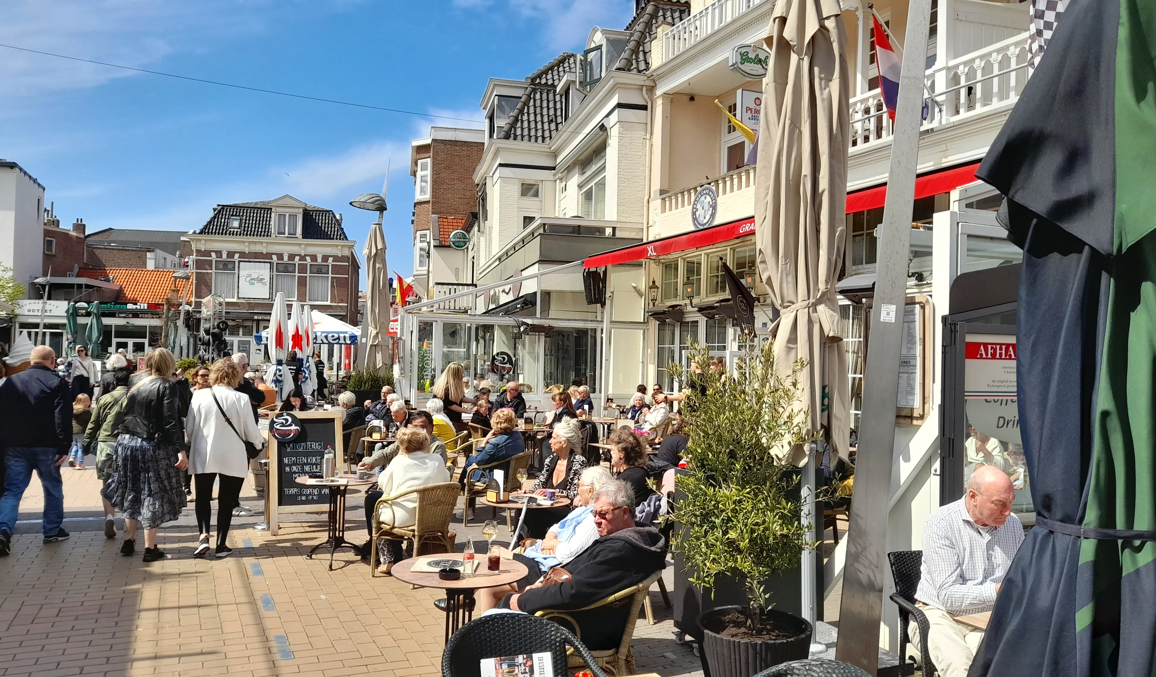 terras 10