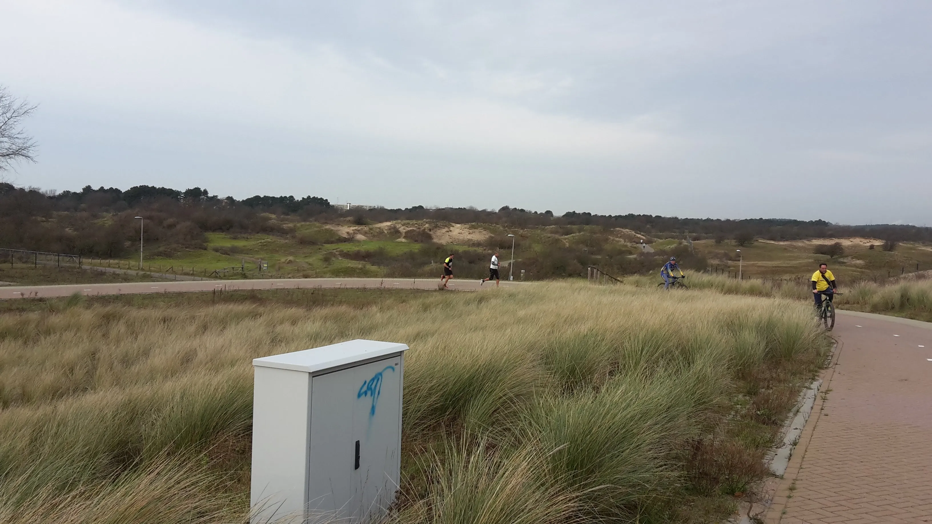 zandvoort loopt natuurbrug zandvoort jaap koper