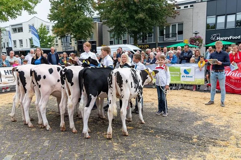 De dieren ter keuring (© Zeewolde bij de Pinken FB)