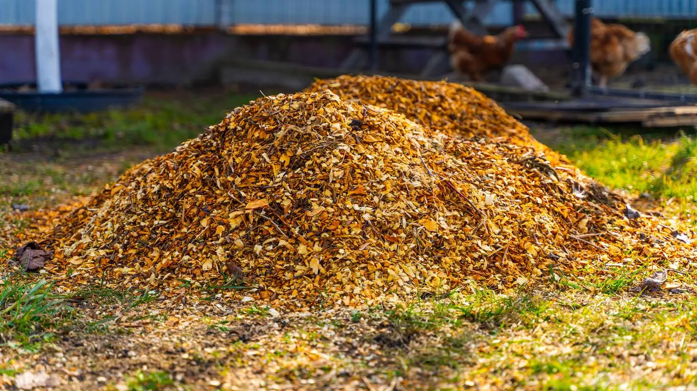 Gratis snoeihout ophalen in Zeist op 15 april