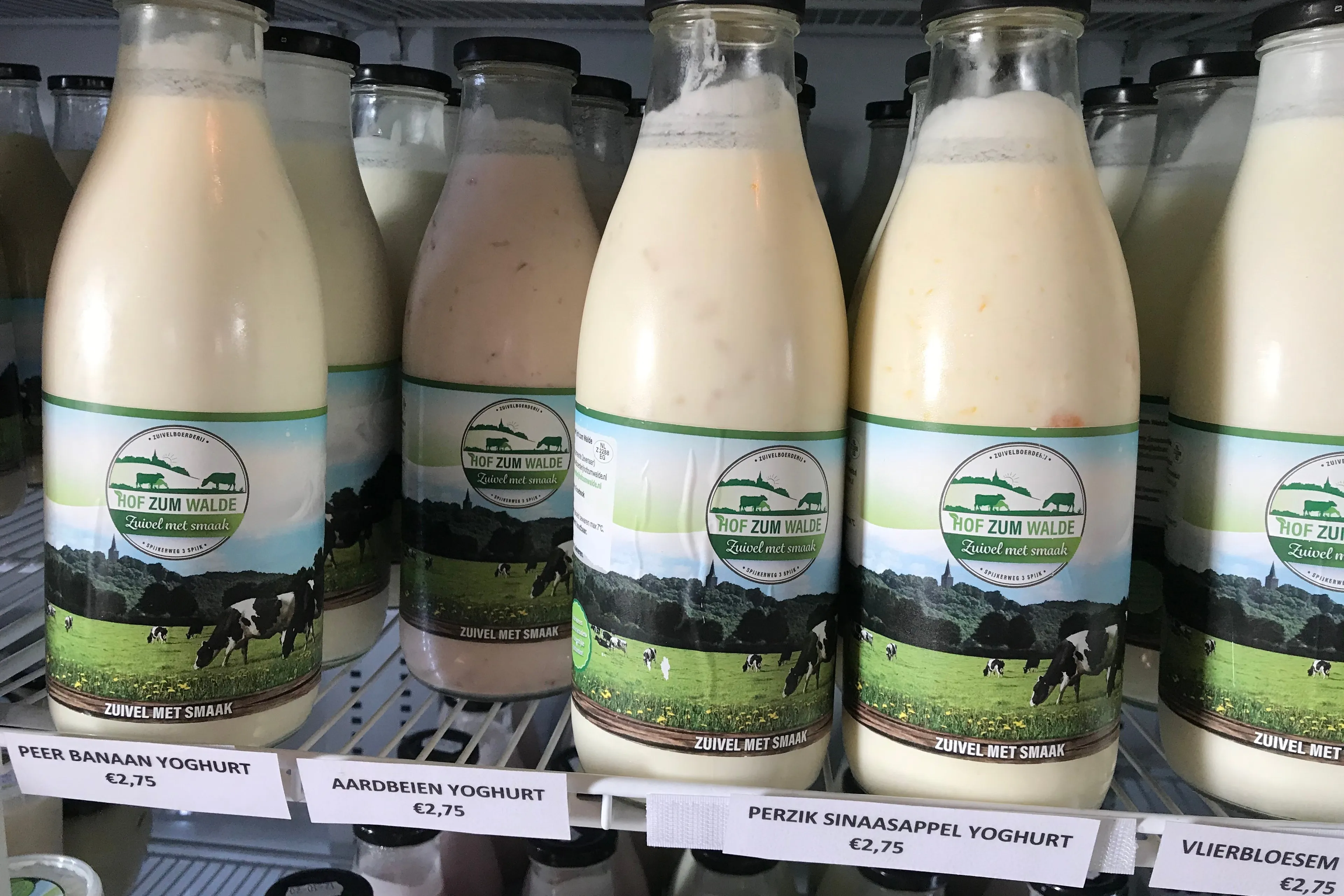 hofzumwalde 5 img 2555