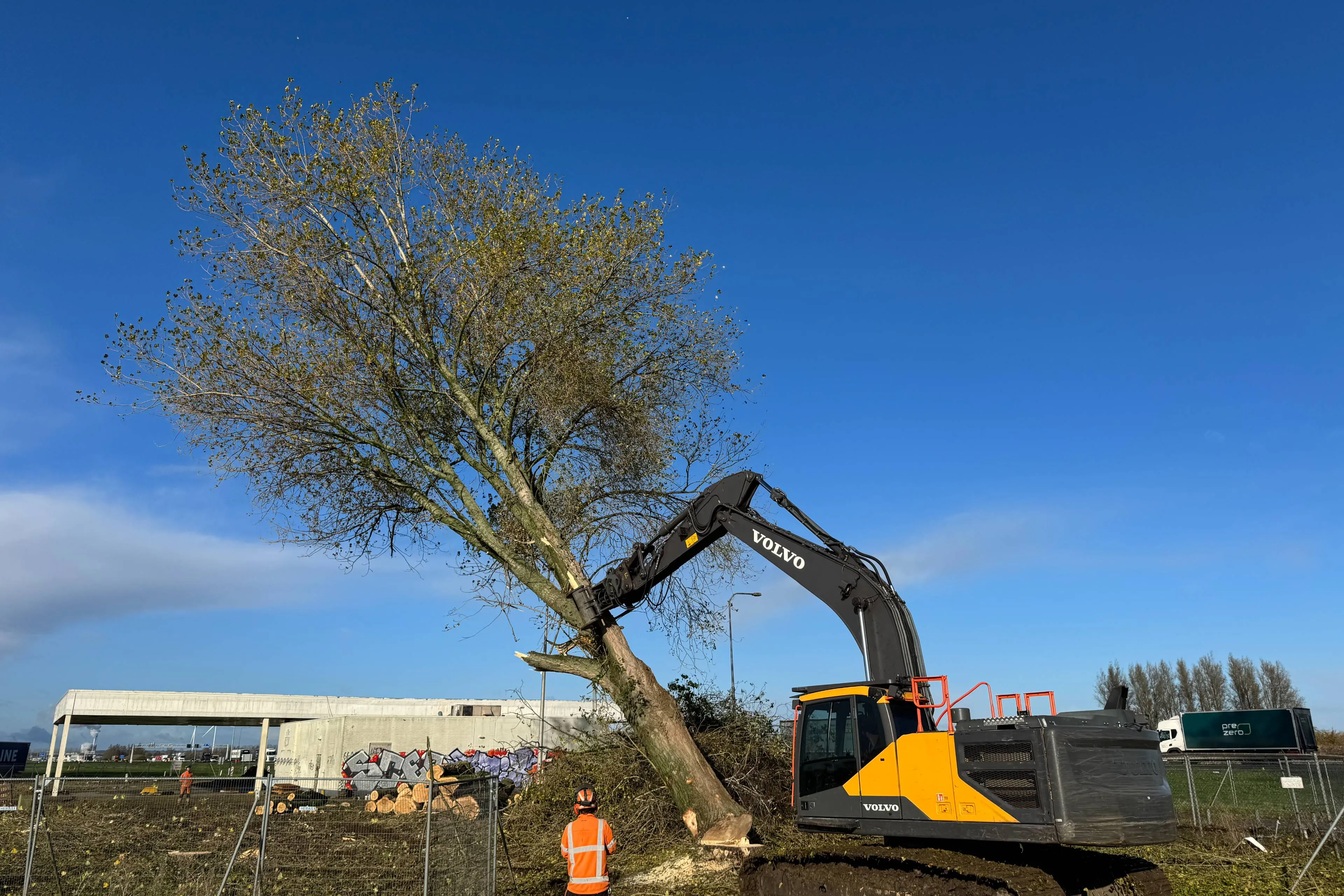 Bomenkap verzorgingsplaats Oudbroeken - november 2025