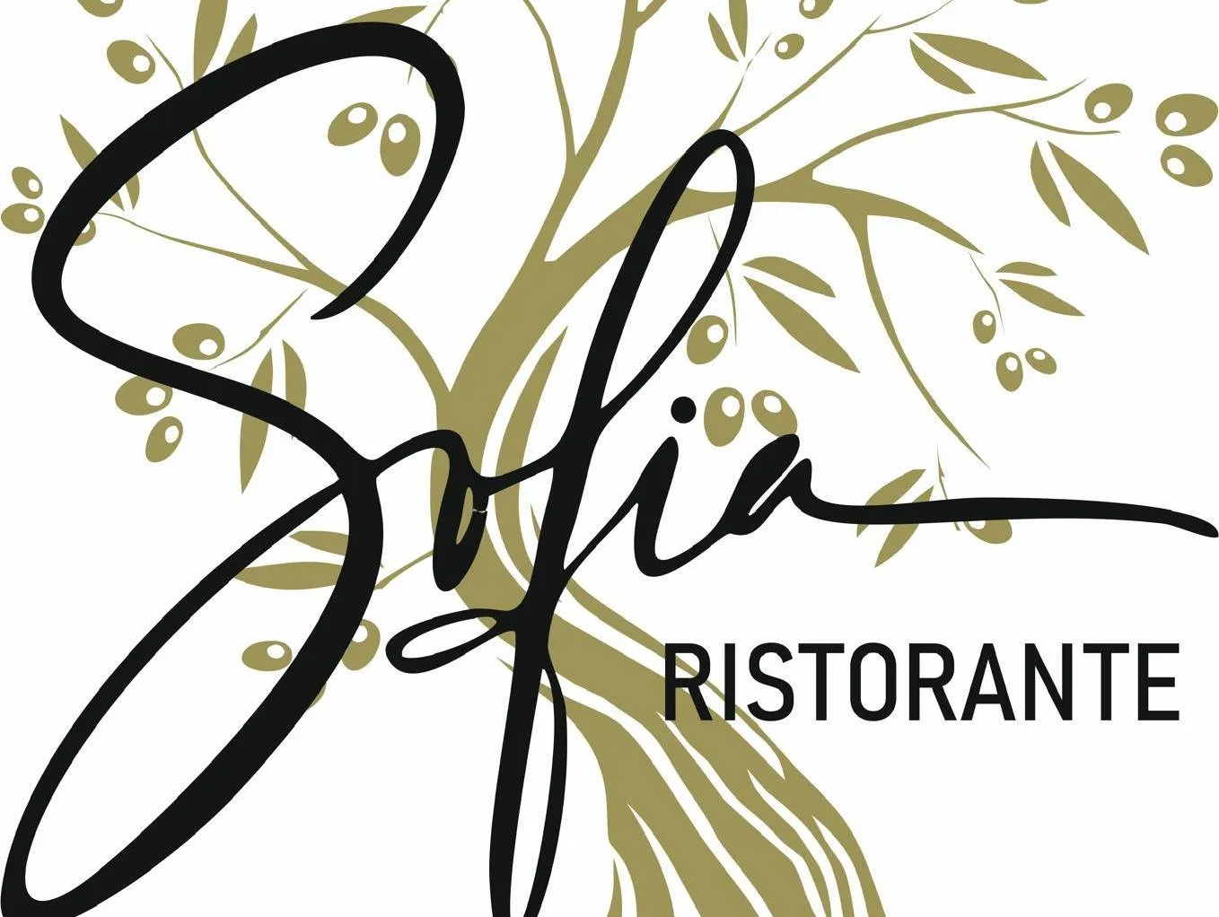 Sofiadef IMG-20250404-WA0000