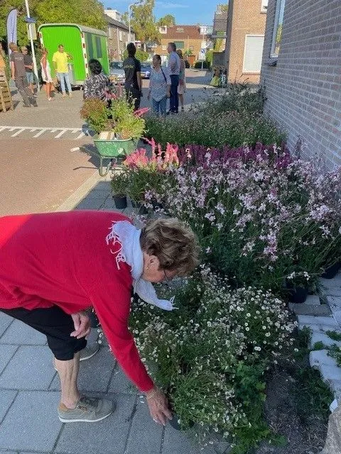 opleverfeest bewoners zoeken planten uit